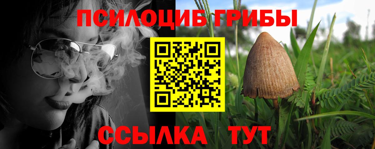 Галлюциногенные грибы GOLDEN TEACHER Алапаевск